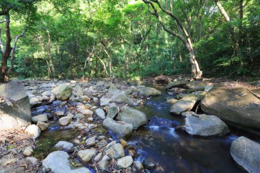 Hong Kong 'daki Shing Mun barajının manzarası.