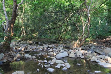 Hong Kong 'daki Shing Mun barajının manzarası.