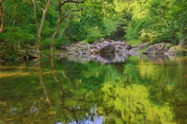 Hong Kong 'daki Shing Mun barajının manzarası.