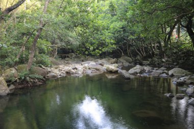 Hong Kong 'daki Shing Mun barajının manzarası.