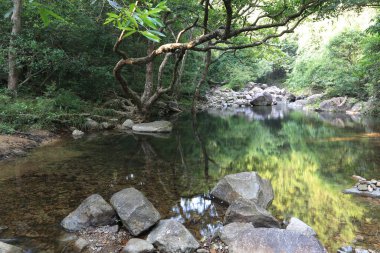 Hong Kong 'daki Shing Mun barajının manzarası.