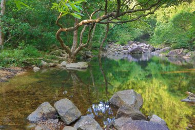 Hong Kong 'daki Shing Mun barajının manzarası.