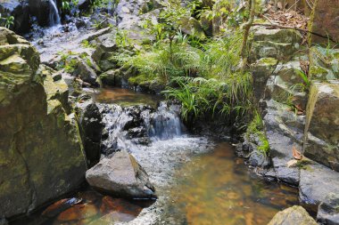 Hong Kong 'daki Shing Mun barajının manzarası.