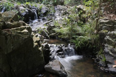 Hong Kong 'daki Shing Mun barajının manzarası.