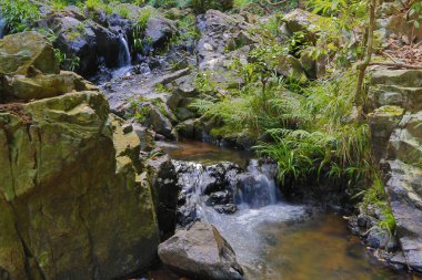 Hong Kong 'daki Shing Mun barajının manzarası.
