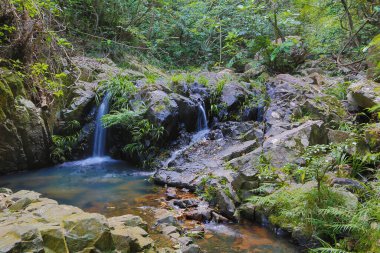 Hong Kong 'daki Shing Mun barajının manzarası.