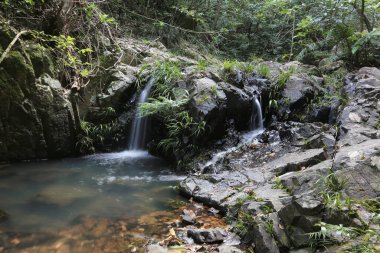 Hong Kong 'daki Shing Mun barajının manzarası.