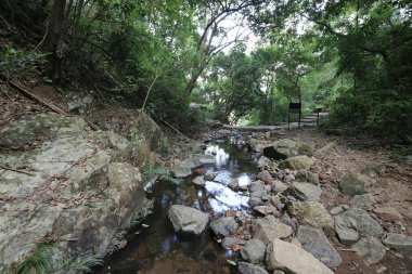 Hong Kong 'daki Shing Mun barajının manzarası.