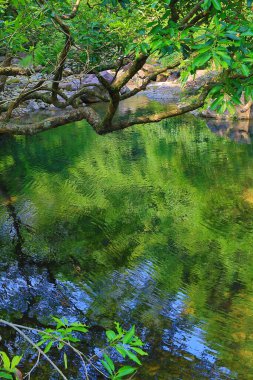 Hong Kong 'daki Shing Mun barajının manzarası.