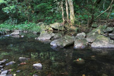 Hong Kong 'daki Shing Mun barajının manzarası.