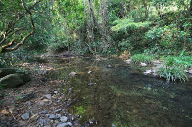 Hong Kong 'daki Shing Mun barajının manzarası.