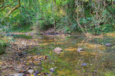 Hong Kong 'daki Shing Mun barajının manzarası.