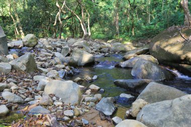 Hong Kong 'daki Shing Mun barajının manzarası.
