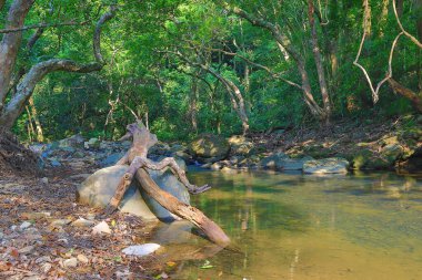 Hong Kong 'daki Shing Mun barajının manzarası.