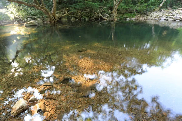 stock image a scenery of country park Shing Mun reservoir in Hong Kong