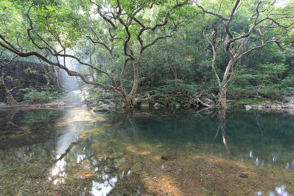 stock image a scenery of country park Shing Mun reservoir in Hong Kong