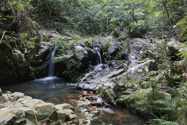 stock image a scenery of country park Shing Mun reservoir in Hong Kong