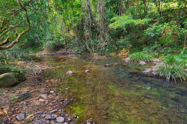 stock image a scenery of country park Shing Mun reservoir in Hong Kong