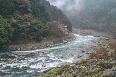 Arashiyama, Japonya Katsura Nehri, Japonya