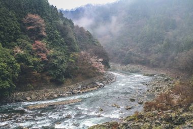 Arashiyama, Japonya Katsura Nehri, Japonya