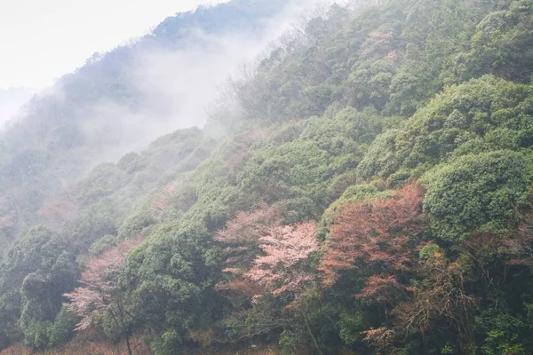 Rivière Katsura Devant Montagne Arashiyama Kyoto — Photo