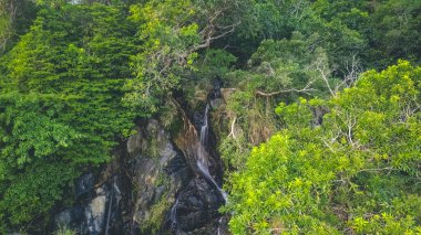 Mui Wo 'daki Silvermine Şelalesi, Lantau Adası, Hong Kong