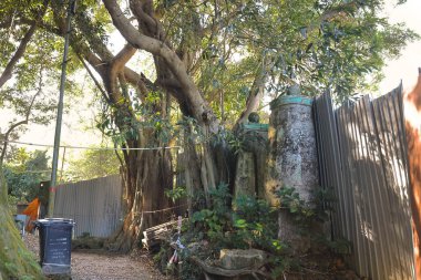 29 Kasım 2022. Mui Wo köyü, Hong Kong.