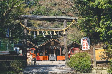 12 Nisan 2012 Nonomiya Tapınağı, Bahar Kyoto, Japonya