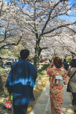 Filozoflar Baharın Yolu, Kyoto, Japonya 12 Nisan 2012