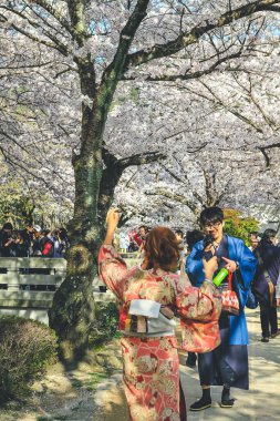 Filozoflar Baharın Yolu, Kyoto, Japonya 12 Nisan 2012