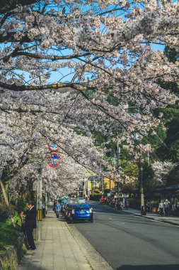 Kyoto, Japonya Felsefe Bölümü Bahar Zamanı.