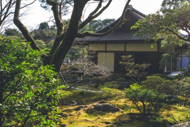 Bir Gümüş Pavilyon Ginkakuji Tapınağı Kyoto Japonya 12 Nisan 2012