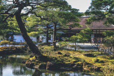 12 Nisan 2012 'de Silver Pavilion' daki gölette.