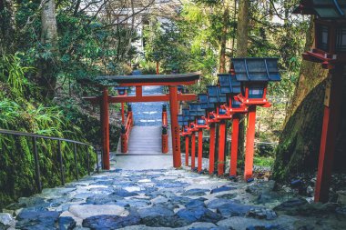 12 Nisan 2012 Kibune-jinja Tapınağı, Kyoto, Japonya