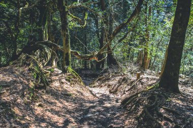 Kurama Tapınağı Kurama-dera, Kyoto, Japonya 12 Nisan 2012