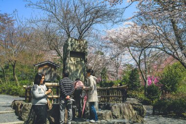 Tenryu-ji Tapınağı, Kyoto, Arashiyama, Japonya 12 Nisan 2012