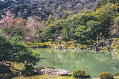 Japonya, Kyoto Bölgesi, Kyoto, Tenryu Ji Tapınağındaki Sogen Gölü