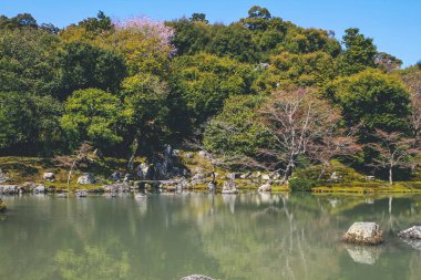 Arashiyama, Kyoto, Japonya Tenryuji tapınağında Japon bahçesi.