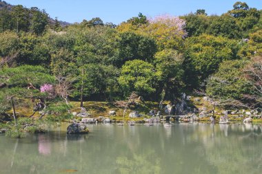 Arashiyama, Kyoto, Japonya Tenryuji tapınağında Japon bahçesi.