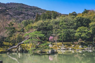 Arashiyama, Kyoto, Japonya Tenryuji tapınağında Japon bahçesi.