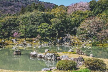 Arashiyama, Kyoto, Japonya Tenryuji tapınağında Japon bahçesi.