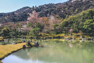 Arashiyama, Kyoto, Japonya Tenryuji tapınağında Japon bahçesi.