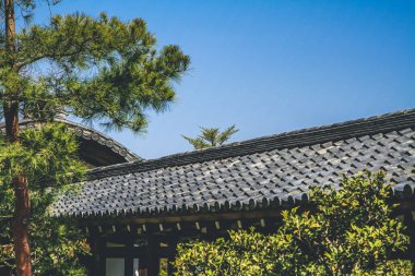 Arashiyama 'daki Tenryu ji Zen Tapınağı. kyoto