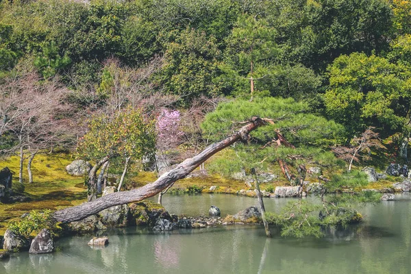 a Japan, Kyoto Prefecture, Kyoto, Sogen Pond in Tenryu Ji temple
