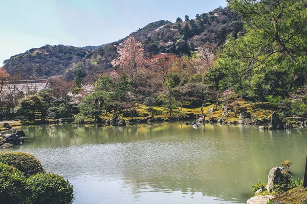 Arashiyama, Kyoto, Japonya Tenryuji tapınağında Japon bahçesi.