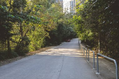 23 Aralık 2022 Lok Wo Sha yolu, Hong Kong