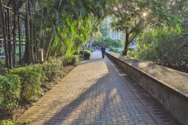 23 Aralık 2022 Wu Kai Sha Hong Kong 'un yol manzarası