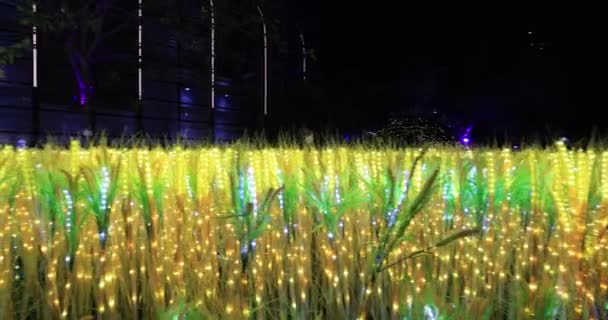 Dic 2022 Shatin Natale Illuminazione Festiva Hong Kong — Video Stock