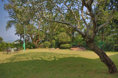 4 Kasım 2012 Zonta White House 'daki bir çimenlikte çiçek tarhı