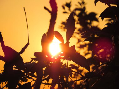Tepelerde gün batımı, günbatımının portakal rengi parıltısı